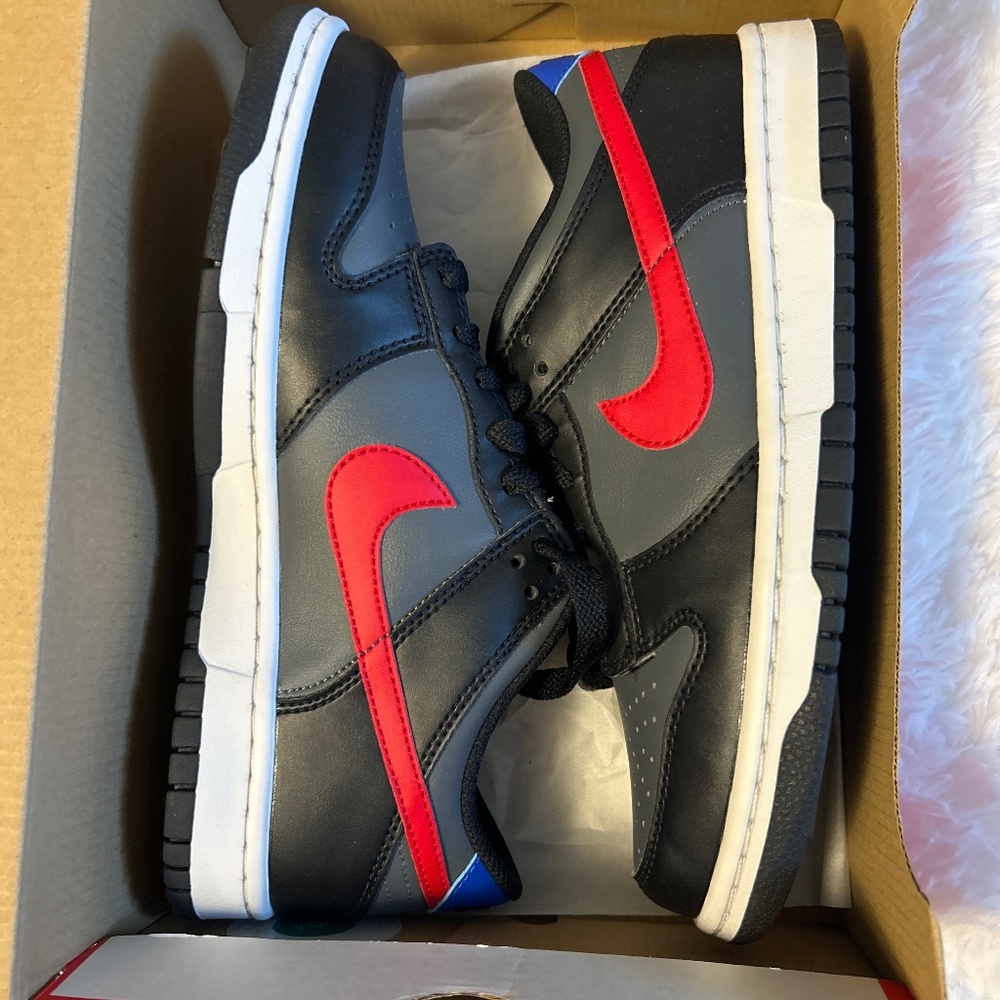 Nike Dunk Low- Brand new in box; never worn
